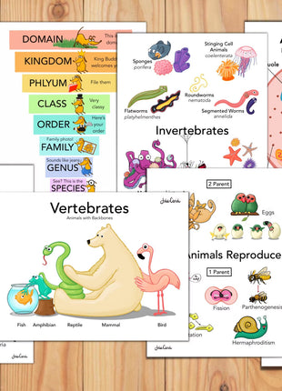 Science Posters and Workbook—12 Elementary Lessons for Kids on Biology & Botany and 14 Corresponding Memory Work Posters