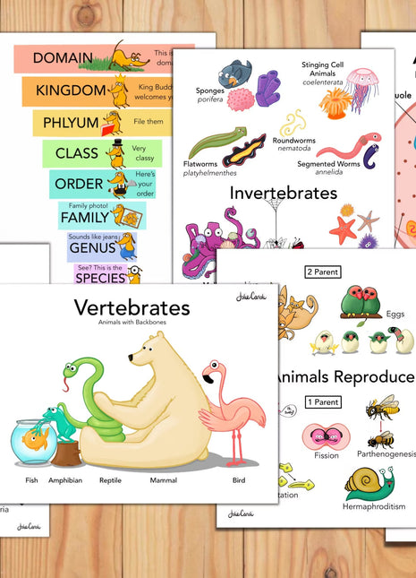 Science Posters and Workbook—12 Elementary Lessons for Kids on Biology & Botany and 14 Corresponding Memory Work Posters